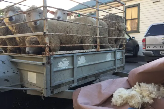 Photo 29-07-21, 4 34 26 PM