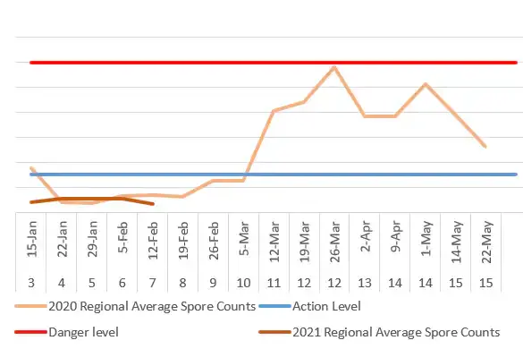 Screenshot 2021-02-12 164222