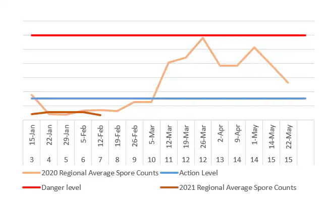 Screenshot 2021-02-12 164222