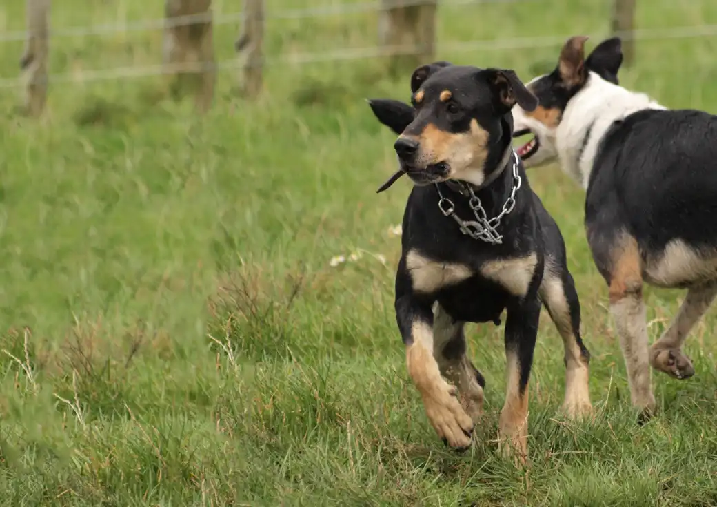 Screenshot 2021-03-05 095157