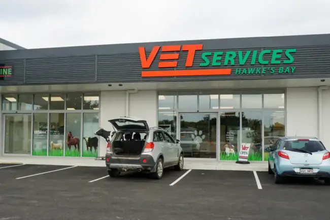 Screenshot 2023-02-01 124609