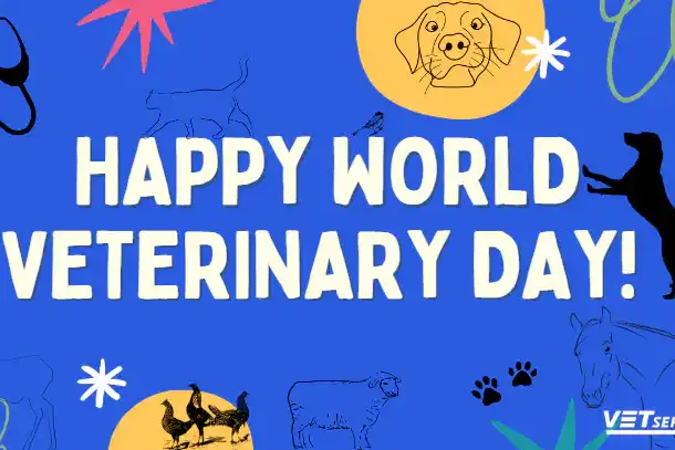 Screenshot 2023-05-01 113056