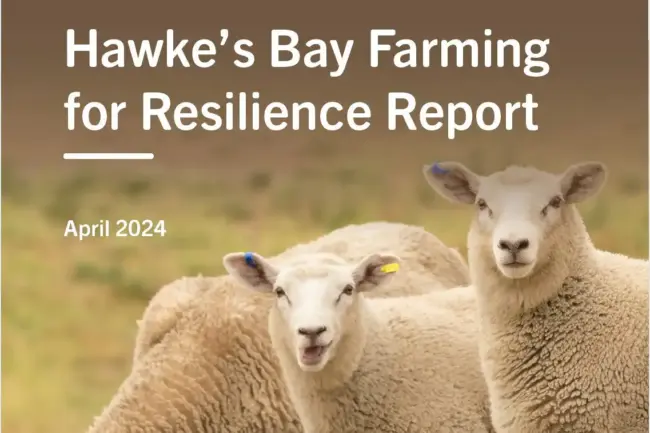 Screenshot 2024-04-15 085918