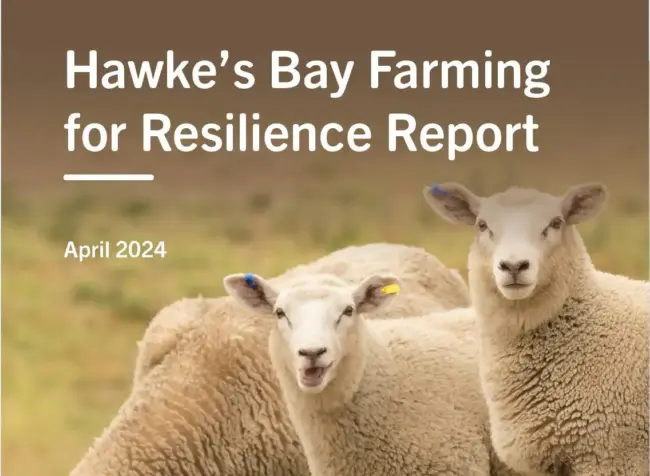 Screenshot 2024-04-15 085918