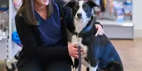 Screenshot 2024-11-06 155757