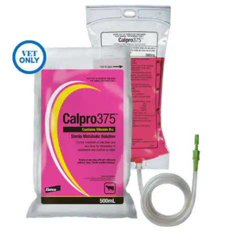 Image for choice number 1