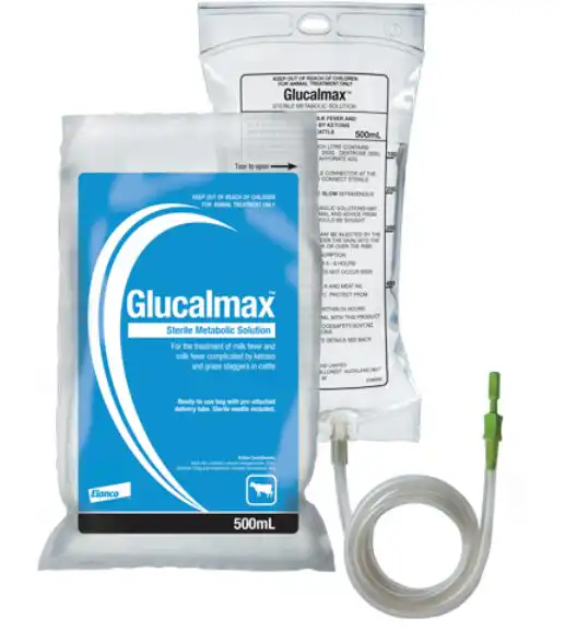 Image for choice number 2