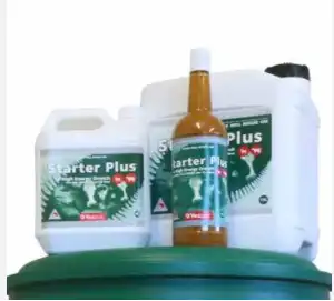 Image for choice number 9