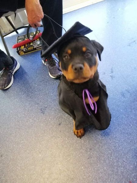 Sept Grad