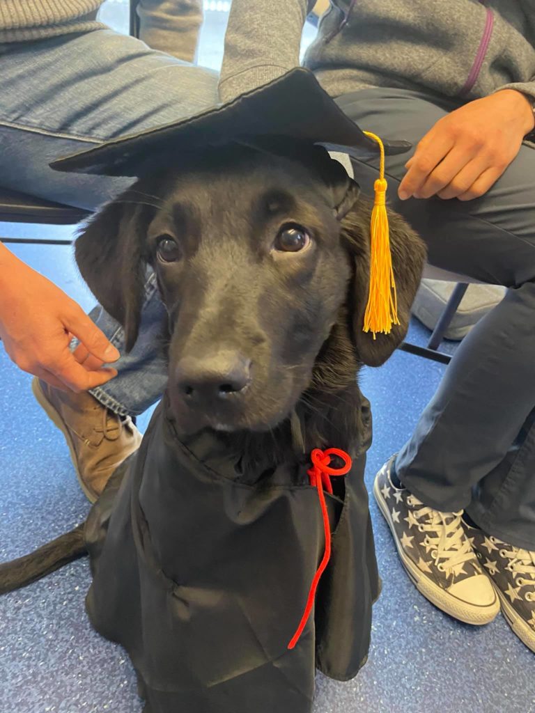 Sept grad 3