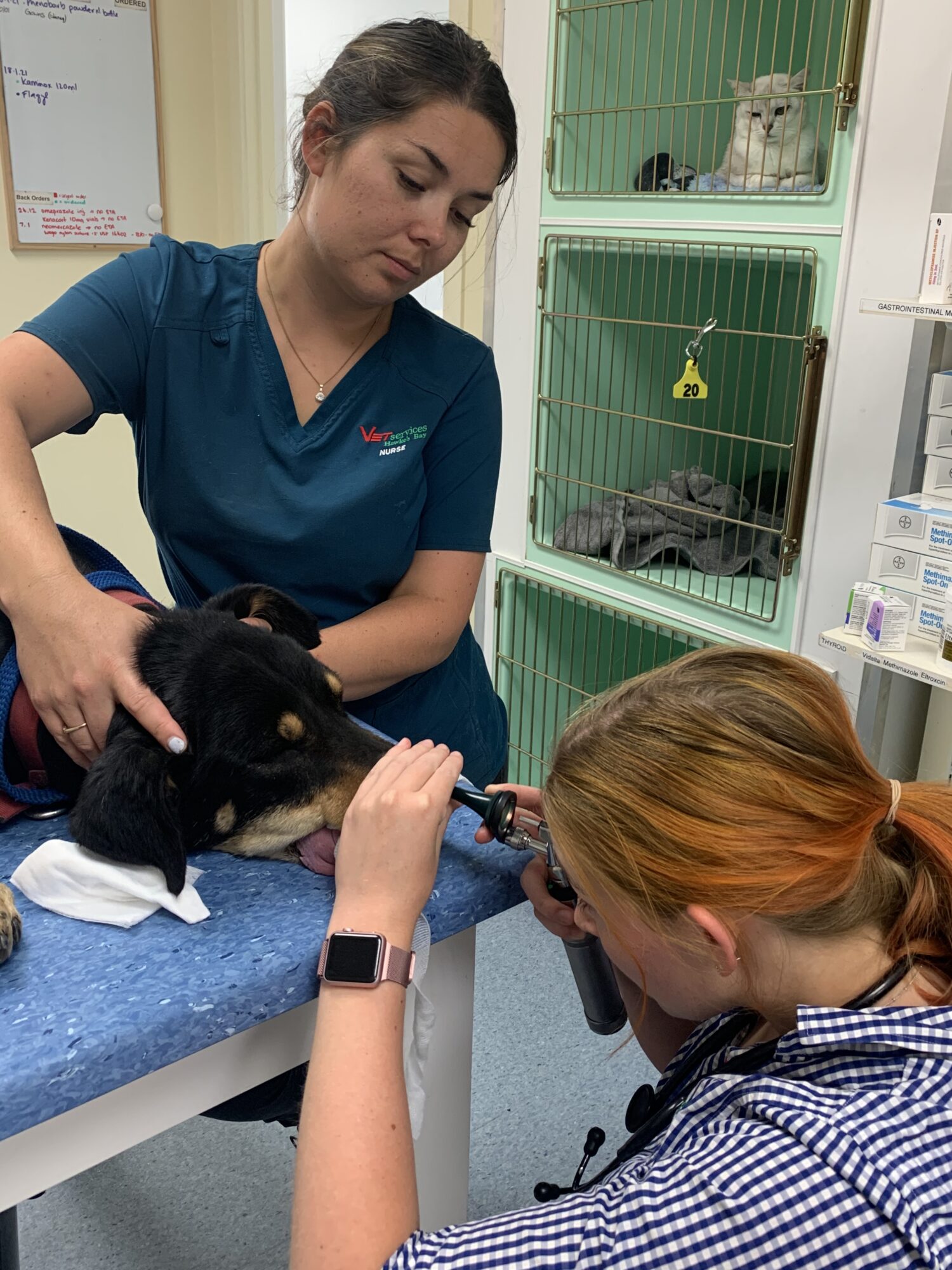 Siobhan - Barley Grass 3