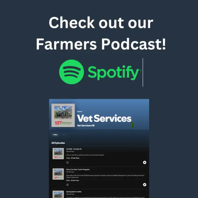 Social Media – podcast 2