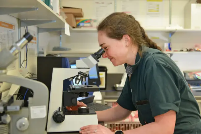 Vet Servic Danne-005