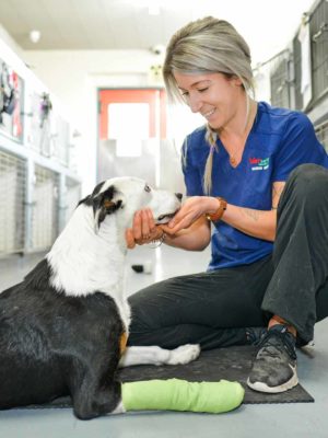 Vet Services - Contact