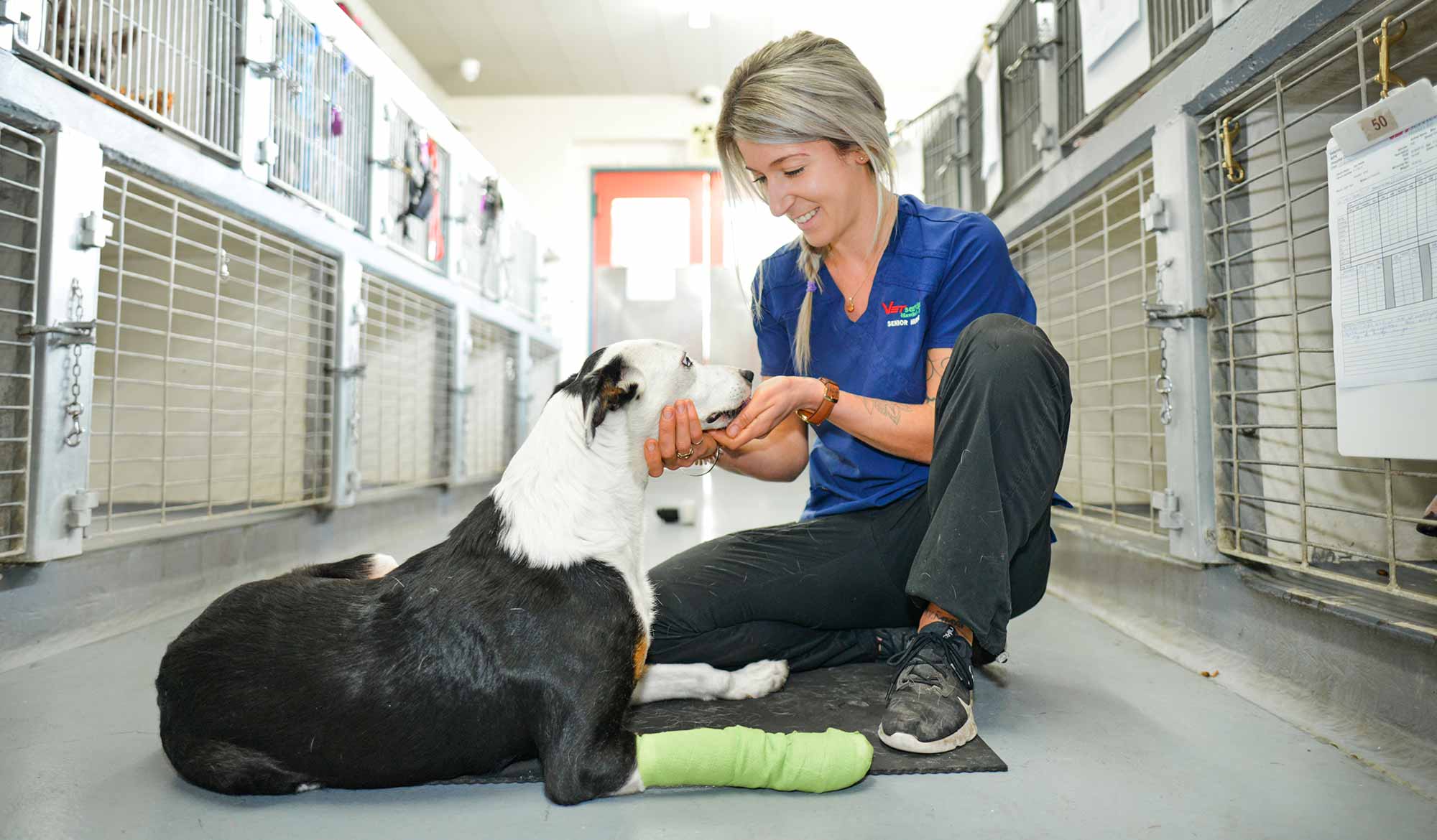 Vet Services - Contact