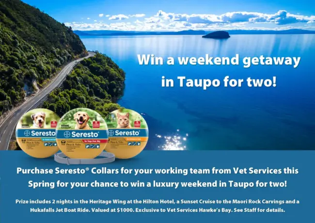 WIN TAUPO WEEKEND
