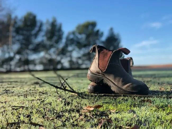 brown leather boots on green grass during daytime