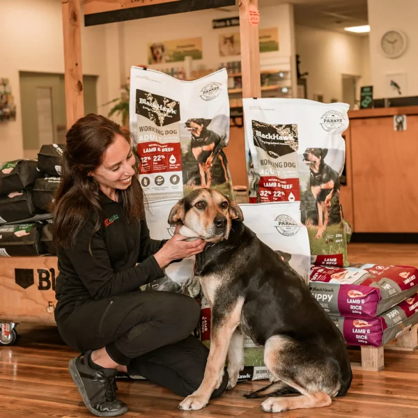 Dannevirke VS-256