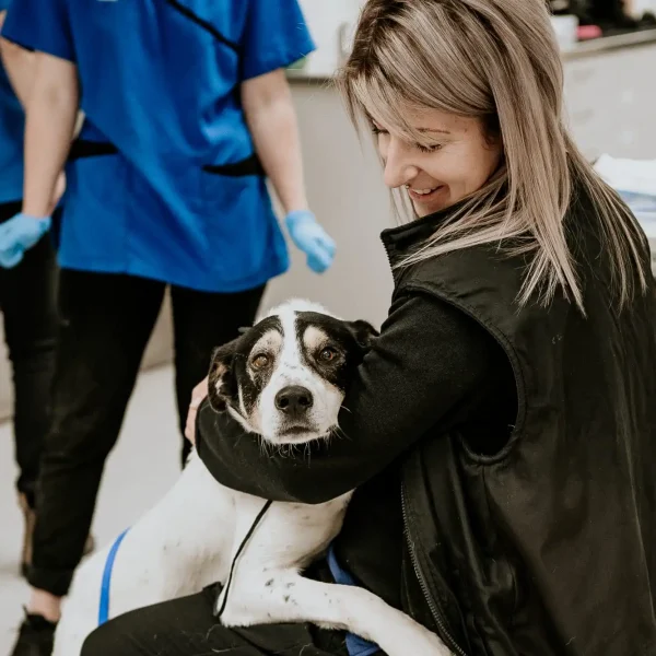 Lisa Fisher Photography - Vet Services Hawkes Bay CHB - High Resolution-111