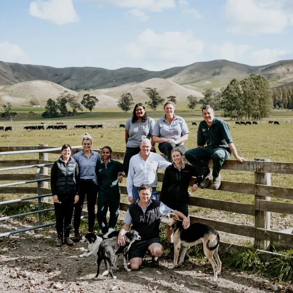 Lisa Fisher Photography - Vet Services Hawkes Bay CHB - Web Social Media-159