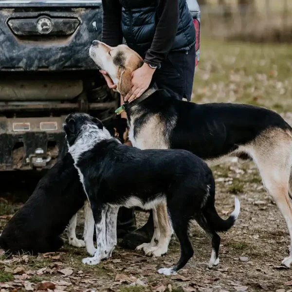 Lisa Fisher Photography - Vet Services Hawkes Bay CHB - Web Social Media-167