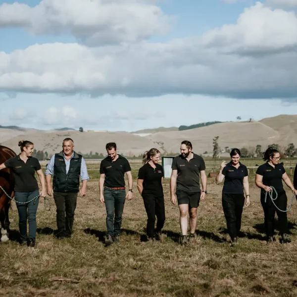 Lisa Fisher Photography - Vet Services Hawkes Bay CHB - Web Social Media-221