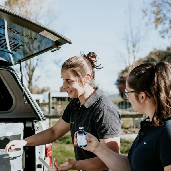 Lisa Fisher Photography - Vet Services Hawkes Bay CHB - Web Social Media-260