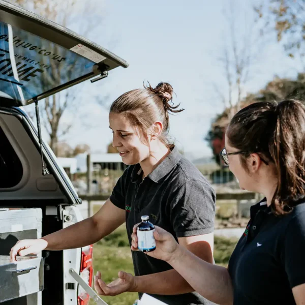 Lisa Fisher Photography - Vet Services Hawkes Bay CHB - Web Social Media-260