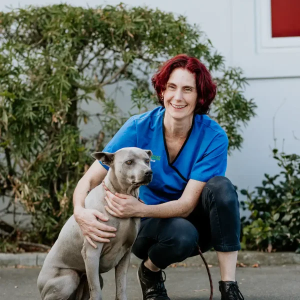 Lisa Fisher Photography - Vet Services Hawkes Bay Hastings -Web Social Media-43