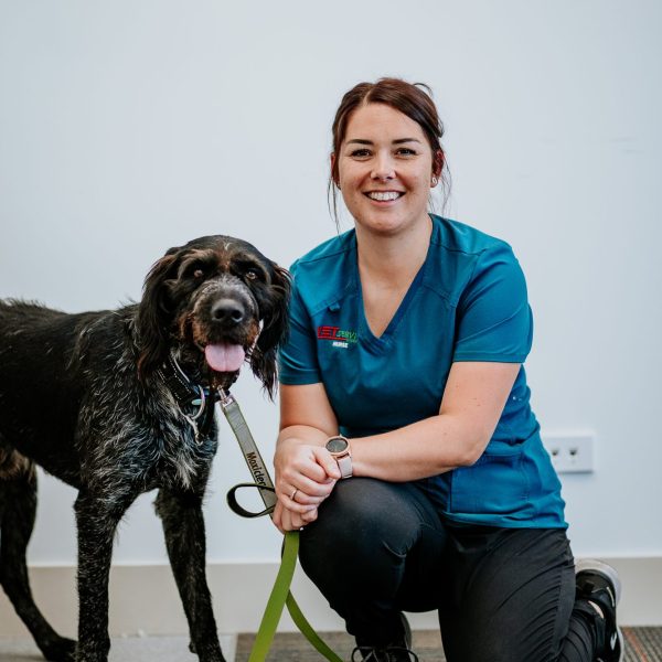 Lisa Fisher Photography - Vet Services Hawkes Bay Napier -High Resolution-29