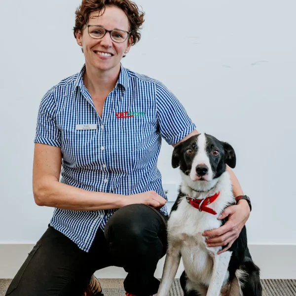 Lisa Fisher Photography - Vet Services Hawkes Bay Napier -High Resolution-33