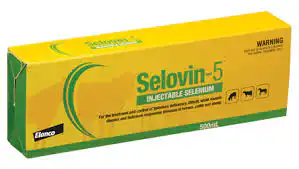 Image for choice number 2