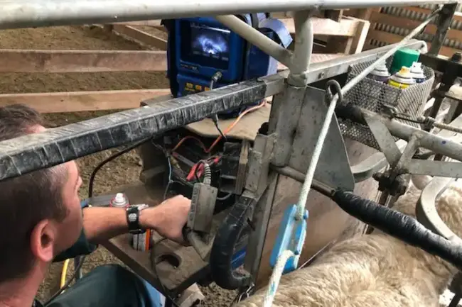 The Benefits of Sheep Scanning – Harry Whiteside
